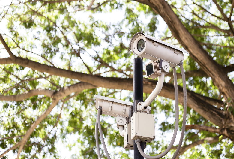 tips pemasangan cctv di perkebunan